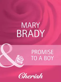 Promise to a Boy Mary Brady