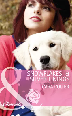 Snowflakes and Silver Linings Cara Colter