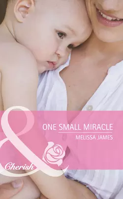 One Small Miracle Melissa James