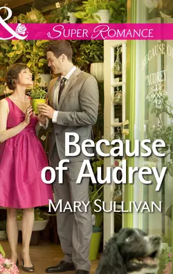 Because of Audrey, Mary Sullivan