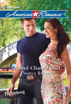 Second Chance Dad, Pamela Stone