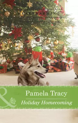 Holiday Homecoming Pamela Tracy