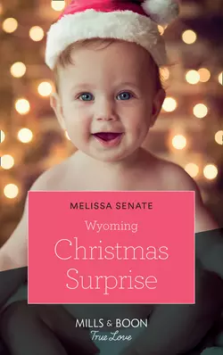 Wyoming Christmas Surprise, Melissa Senate