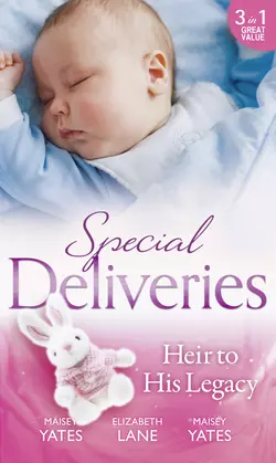 Special Deliveries: Heir To His Legacy: Heir to a Desert Legacy, Elizabeth Lane