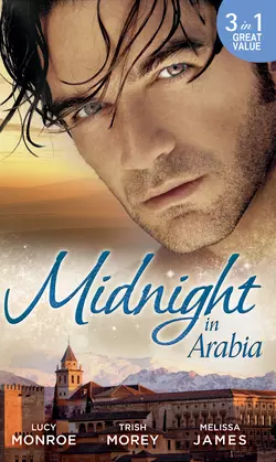 Midnight in Arabia: Heart of a Desert Warrior / The Sheikh′s Last Gamble / The Sheikh′s Jewel, Люси Монро