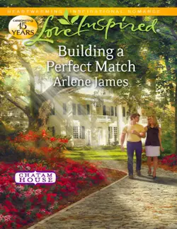 Building a Perfect Match Arlene James