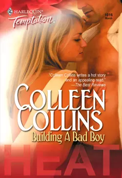 Building a Bad Boy Colleen Collins