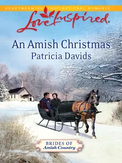 An Amish Christmas Patricia Davids