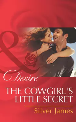 The Cowgirl′s Little Secret, Silver James