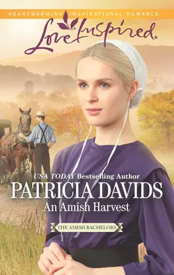 An Amish Harvest Patricia Davids