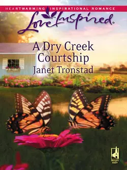 A Dry Creek Courtship Janet Tronstad