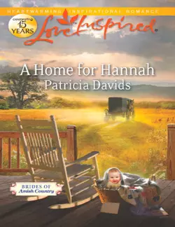 A Home for Hannah Patricia Davids