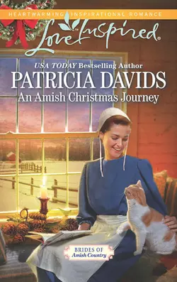 An Amish Christmas Journey Patricia Davids