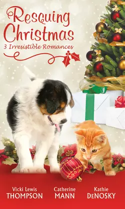 Rescuing Christmas: Holiday Haven / Home for Christmas / A Puppy for Will, Kathie DeNosky