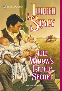 The Widow′s Little Secret, Judith Stacy