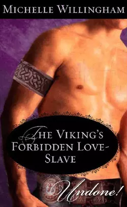 The Viking′s Forbidden Love-Slave, Michelle Willingham