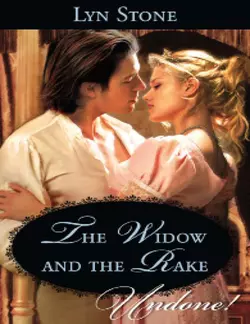 The Widow and the Rake Lyn Stone