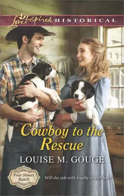 Cowboy to the Rescue Louise Gouge