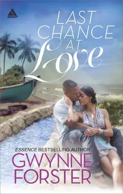 Last Chance at Love, Gwynne Forster