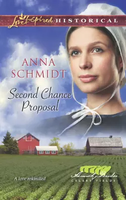 Second Chance Proposal Anna Schmidt