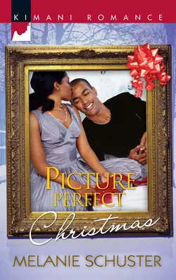 Picture Perfect Christmas, Melanie Schuster