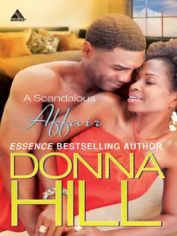 A Scandalous Affair Donna Hill