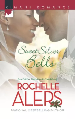 Sweet Silver Bells, Rochelle Alers