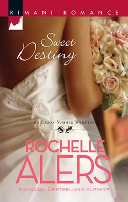 Sweet Destiny, Rochelle Alers