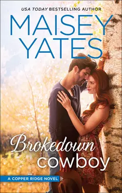 Brokedown Cowboy, Maisey Yates