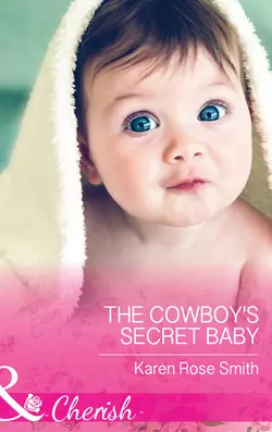 The Cowboy′s Secret Baby, Karen Smith