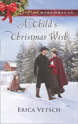 A Child′s Christmas Wish, Erica Vetsch