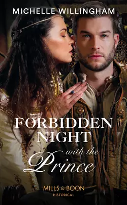 Forbidden Night With The Prince, Michelle Willingham