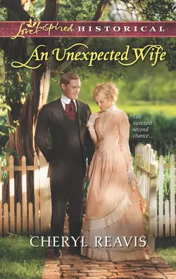 An Unexpected Wife, Cheryl Reavis