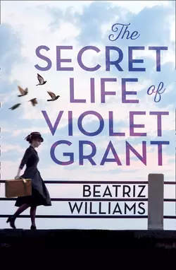 The Secret Life of Violet Grant, Beatriz Williams