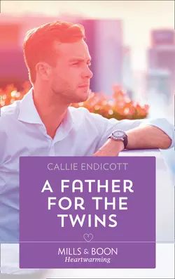 A Father For The Twins Callie Endicott