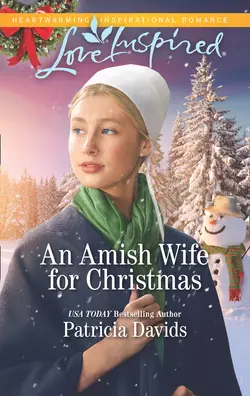 An Amish Wife For Christmas Patricia Davids