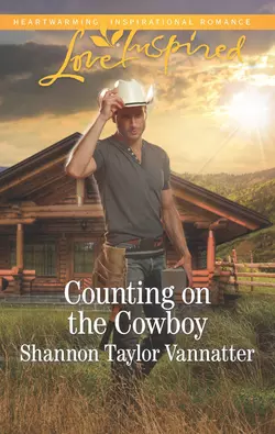 Counting On The Cowboy, Shannon Vannatter