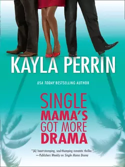 Single Mama′s Got More Drama, Kayla Perrin