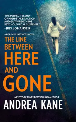 The Line Between Here and Gone, Andrea Kane