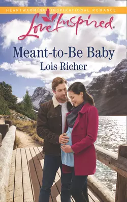 Meant-To-Be Baby, Lois Richer