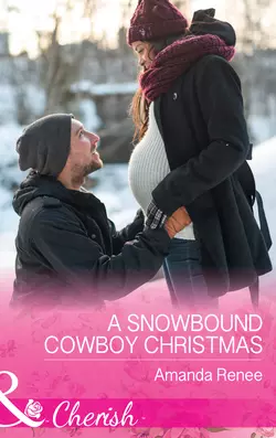 A Snowbound Cowboy Christmas Amanda Renee