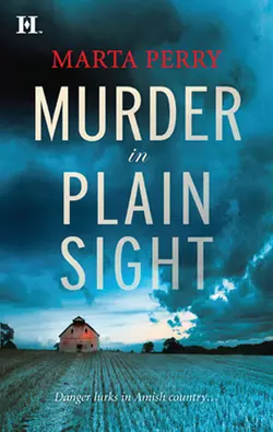 Murder in Plain Sight Marta Perry