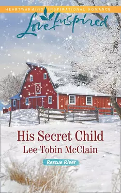 His Secret Child, Lee McClain