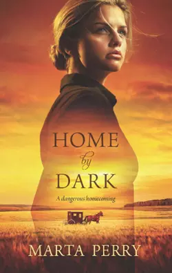 Home by Dark Marta Perry