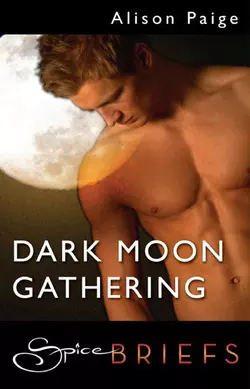 Dark Moon Gathering, Alison Paige