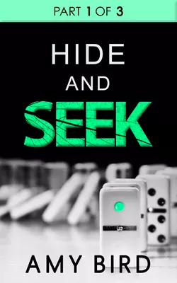 Hide And Seek, Amy Bird