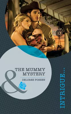 The Mummy Mystery Delores Fossen