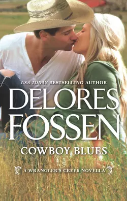 Cowboy Blues Delores Fossen