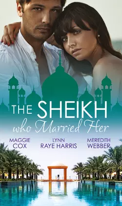 The Sheikh Who Married Her: One Desert Night / Strangers in the Desert / Desert Doctor, Secret Sheikh, Lynn Raye Harris