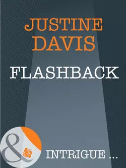 Flashback, Justine Davis